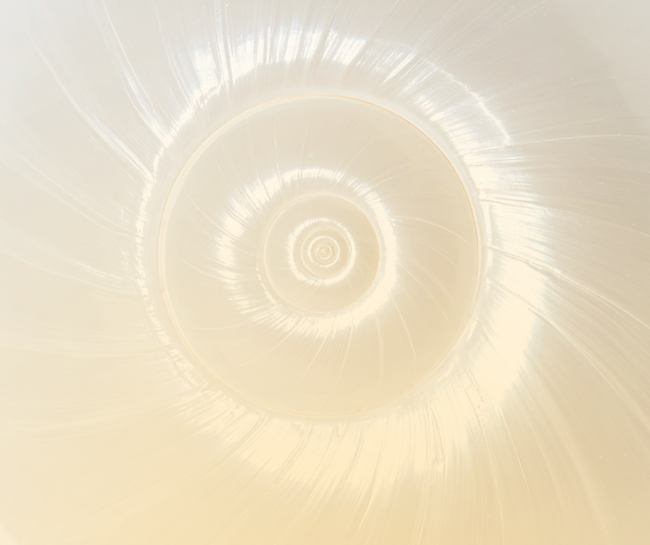 We rise as a team, we fall alone